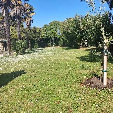 Apartment Elda Porec